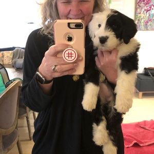 Meet your Posher, Arlene